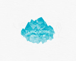turquoise mountain logo white