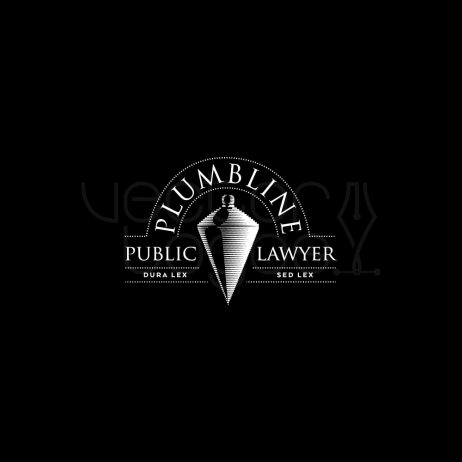 public lawyer logo invert