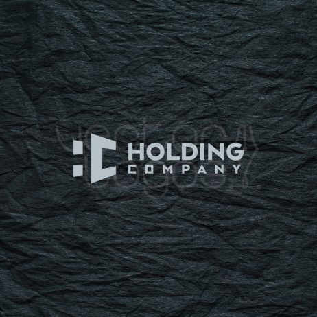 holding company logo invert